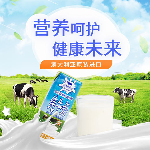 乔尼牧场（礼盒）全脂牛奶250ml*12 商品图2