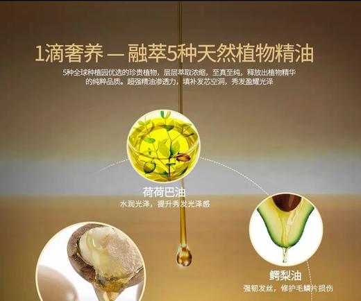 滋源水漾臻耀润发精油 100ml（外包装盒子轻微破损） 商品图4