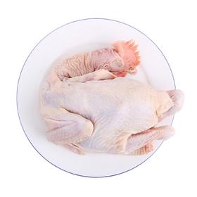 【618秒】苏食天农清远鸡750g6月16日20点？元/份限5份【0510】