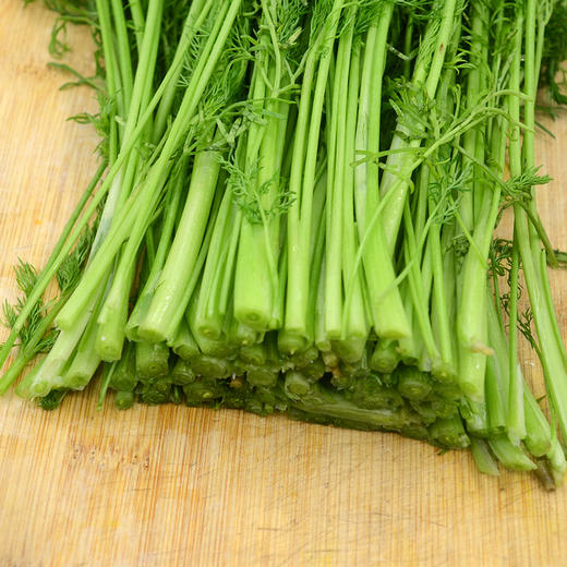 物本源有机茴香 商品图2