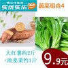 蔬菜组合4（大红薯约2斤+油麦菜约1斤，惊爆价9.9元）人均一份 商品缩略图0