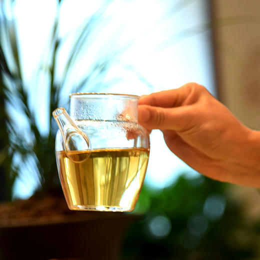 葳盛 2017年哈尼公主 生茶 400克 无量山古树茶 商品图1