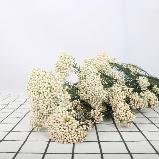 米花·白色 商品图0
