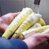 明月村新鲜雷竹笋 | 山人优选，只卖20天，纯手工采挖，嫩的出汁儿，肉厚味浓，吃着超过瘾！ 商品缩略图1