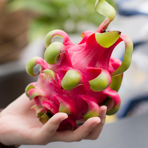 红心火龙果 味道清甜 口感嫩滑 越南新鲜水果 商品图3