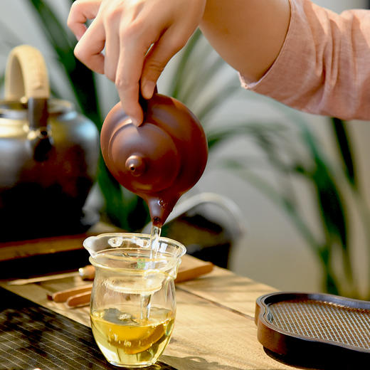 葳盛 2012年哈尼公主茶 生茶 400克 商品图1