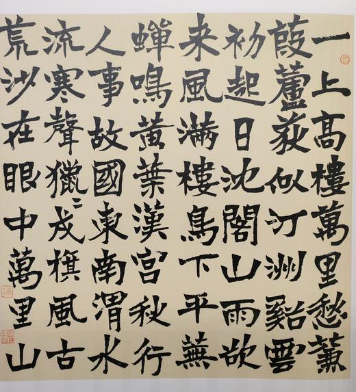 沈曾植精品集 正版图书，折扣销售中....八开精装  河北美术出版社 商品图5