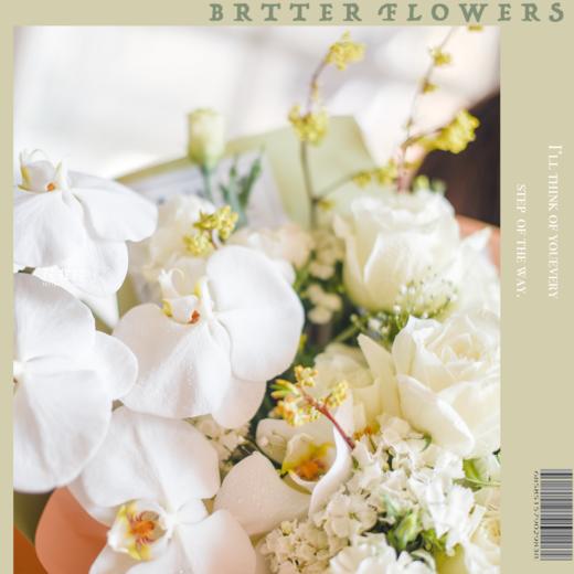 兰亭集序 白色蝴蝶兰花束 花非花