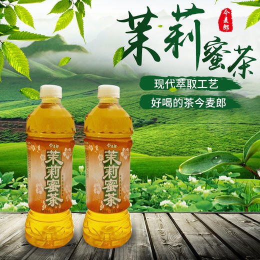 今麥郎茉莉蜜茶500ml