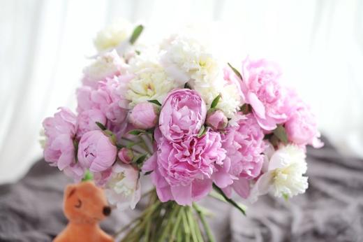 【量大从优】成都重瓣芍药  粉色 1捆（5扎） 商品图3