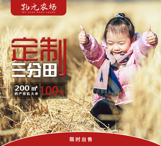 【新米】这片地！我承包了丨物元农场三分田50kg
