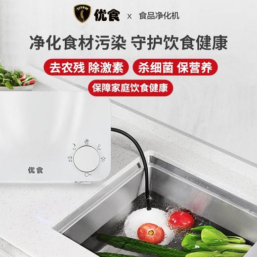 优食全智能食材净化机家用果蔬清洗机水果食品净化器消毒净食机洗菜机