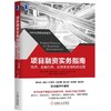 项目融资实务指南：政府、金融机构、投资者全视角路线图 商品缩略图0