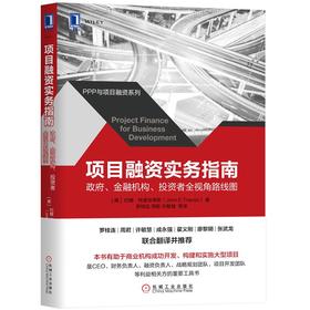 项目融资实务指南：政府、金融机构、投资者全视角路线图