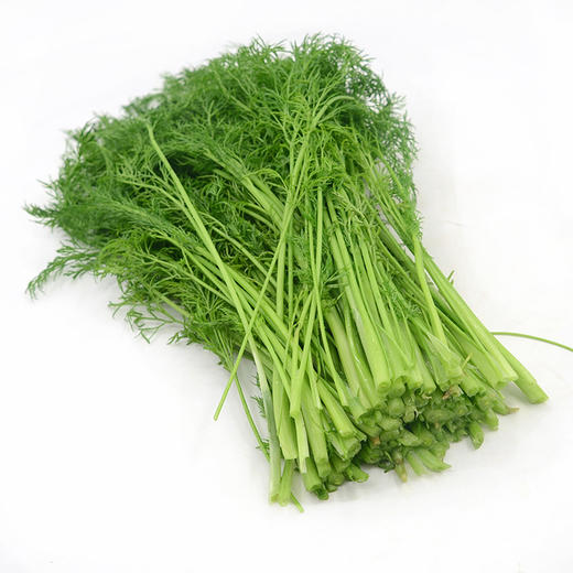 物本源有机茴香 商品图0