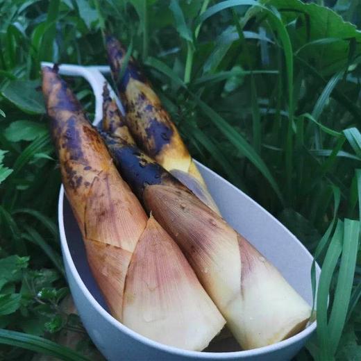 明月村新鲜雷竹笋 | 山人优选，只卖20天，纯手工采挖，嫩的出汁儿，肉厚味浓，吃着超过瘾！ 商品图2