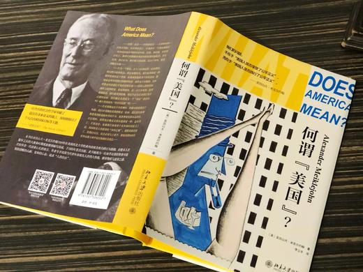《何谓“美国”？》 定价：59.00元 作者：〔美〕亚历山大·米克尔约翰 著 译者：李立丰 译 商品图4