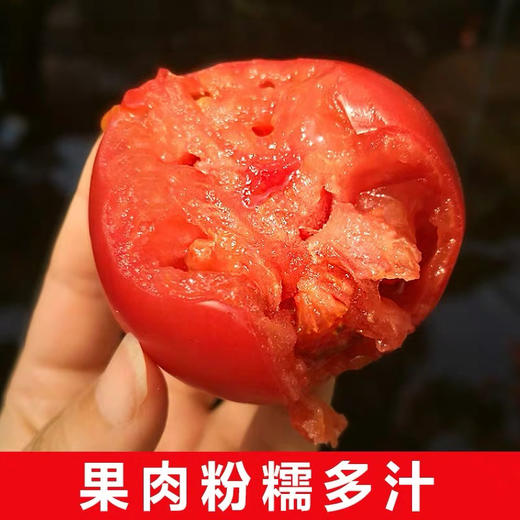 普罗旺斯大番茄  绿色A级   可生吃的水果番茄  粉糯多汁 商品图4