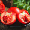 普罗旺斯西红柿 小时候的味道  肥厚多汁 现摘现发 商品缩略图4
