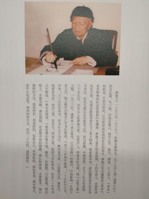 林散之精品集 正版图书，折扣销售中....八开精装  河北美术出版社 商品图8