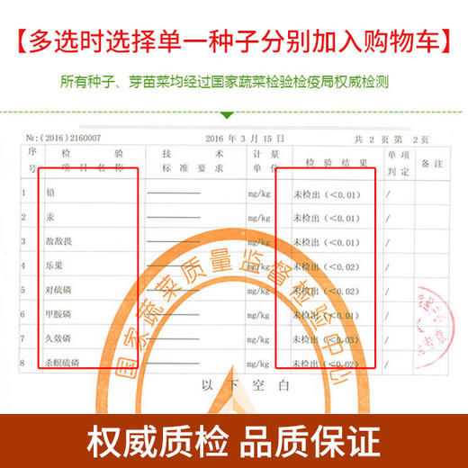 芽苗种子（满4斤包邮 偏远地区除外） 商品图2