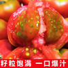 普罗旺斯大番茄  绿色A级   可生吃的水果番茄  粉糯多汁 商品缩略图5