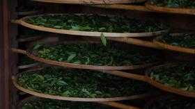 岩茶“行话”，听得懂3个就是老茶客！