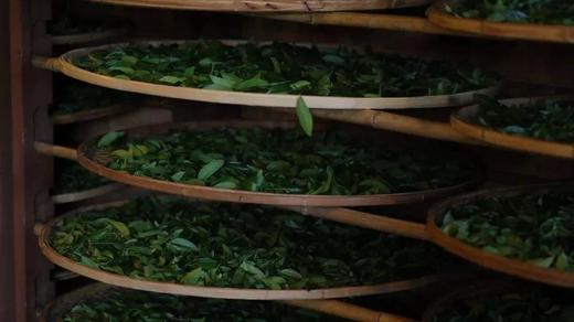 岩茶“行话”，听得懂3个就是老茶客！ 商品图0