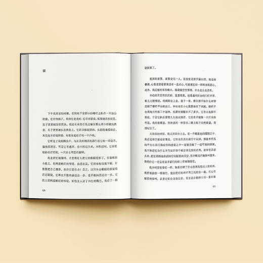 《绿毛水怪》 商品图3