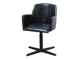 NS家居nsfurniture进口真皮旋转扶手椅NSBA-Stewart Swivel