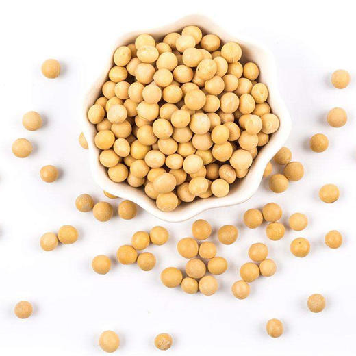 干黄豆 商品图0