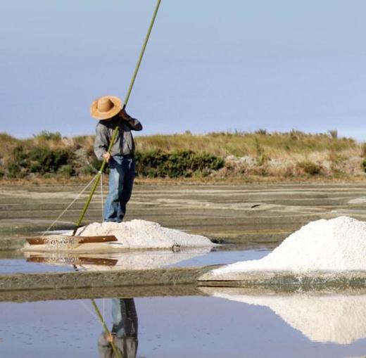 Guerande Table Sea Salt 750g法国精制海盐#512958韩国直邮JPY带授权招加盟代理 商品图1