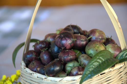 【顺丰冷链】丽江新鲜红果参 高原稀有水果 现采现发【不可用任何优惠