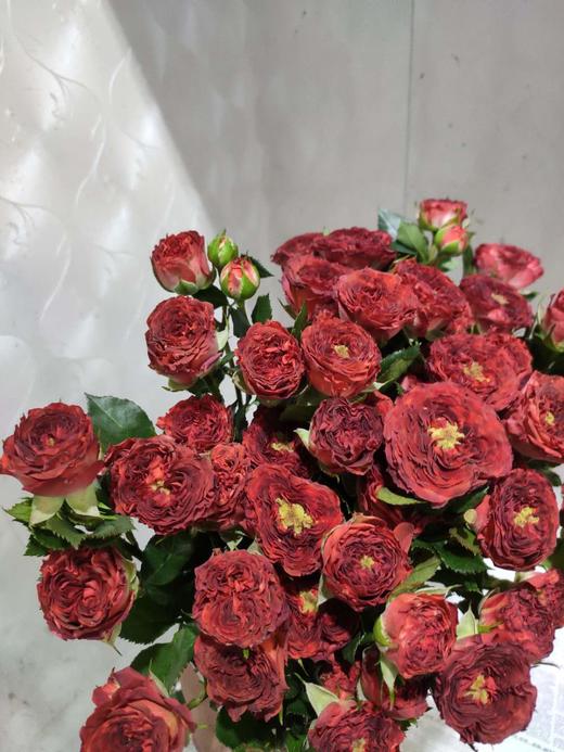 昆明玫瑰多头巧克力泡泡10支扎a级