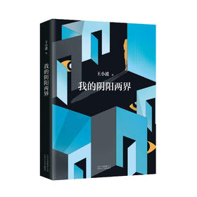 《我的阴阳两界》