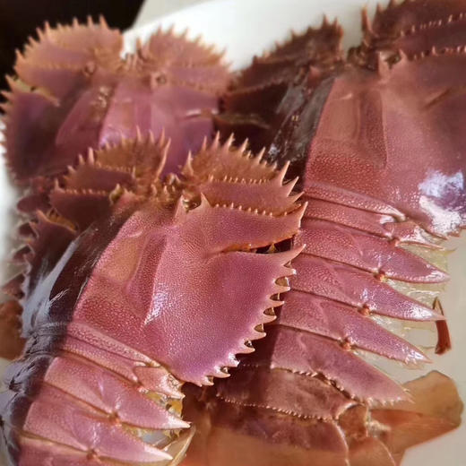 〔象山码头直发包邮17〕码头海鲜野生梭子蟹/鲳鱼/带鱼/深海黄鱼/野生花蛤/海钓鲷鱼/红膏青蟹/芒种虾皮/带膏小管/泥蛏子/斑节虾/翡翠鲍鱼/章鱼/琵琶虾/皮皮虾/小船红虾/墨鱼干 商品图6