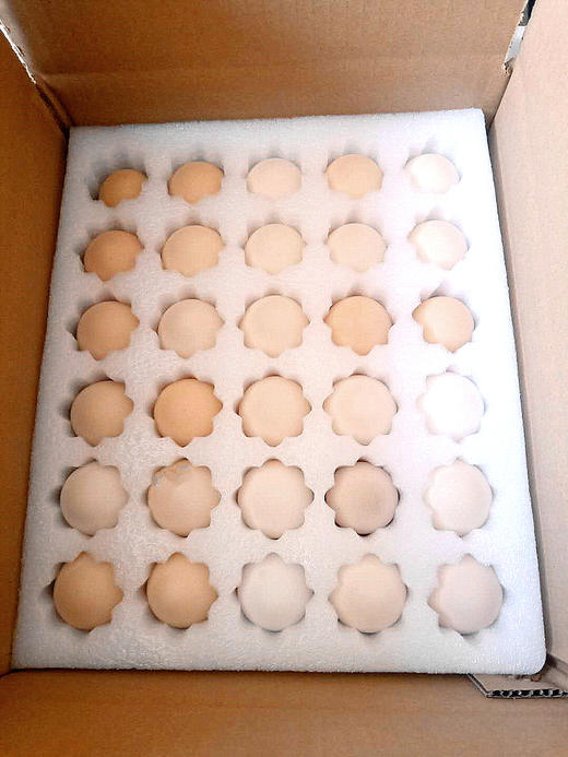 「生而自由」山林散养柴鸡鸡蛋 全国包邮 商品图3