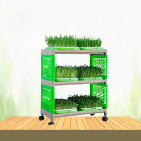 尊享芽苗菜空架