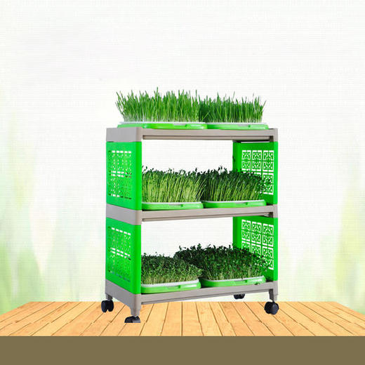 尊享芽苗菜空架 商品图0