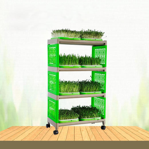尊享芽苗菜空架 商品图1