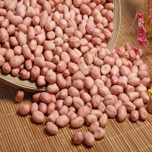 花生米 地豆仁 商品图0