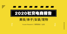 2020 社交电商报告