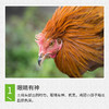 【全国包邮】凤羽土鸡（阉鸡） 4.3-4.6斤/只  （48小时之内发货) 商品缩略图3