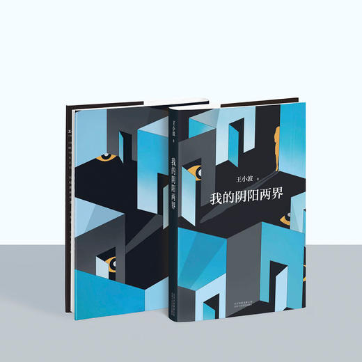 《我的阴阳两界》 商品图3
