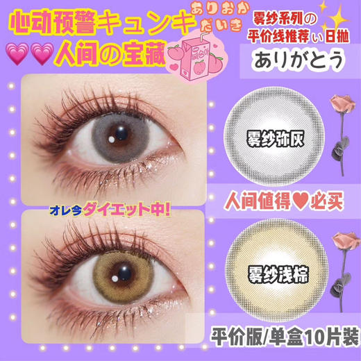 雾纱 棕/灰  （日抛型） 商品图2