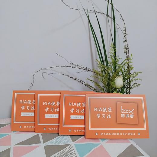 《RIA便签学习法》系列便签本 商品图2