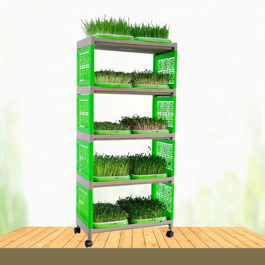 尊享芽苗菜空架 商品图2