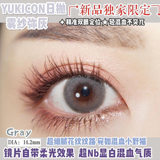 雾纱 棕/灰  （日抛型） 商品图3