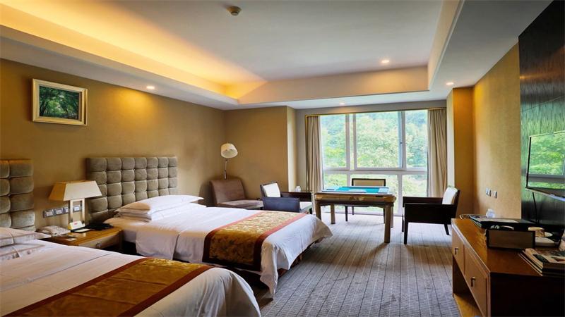 天星两江休闲标间休闲标间+双人温泉+双早