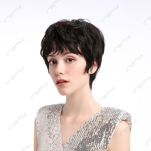 RGH-S20100MN 商品图2